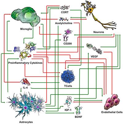 A Logic Model of Neuronal-Glial Interaction Suggests Altered Homeostatic Regulation in the Perpetuation of Neuroinflammation